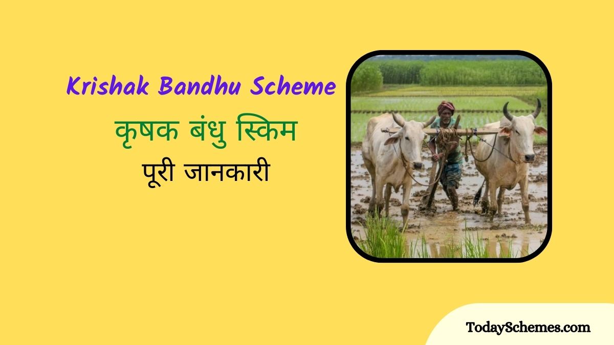 Krishak Bandhu Scheme Complete Guide